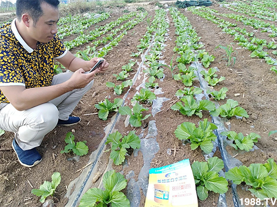 ˮ�ܷ��Ј���׃��������徫���~���׌�����������1000���Ñ��������]��