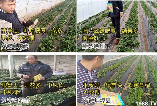 ˮ�ܷ��Ј���׃������徫���~���׌�����������1000���Ñ��������]��