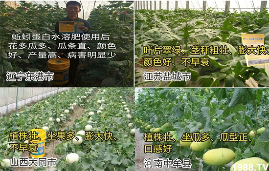 ˮ�ܷ��Ј���׃��������徫���~���׌�����������1000���Ñ��������]��