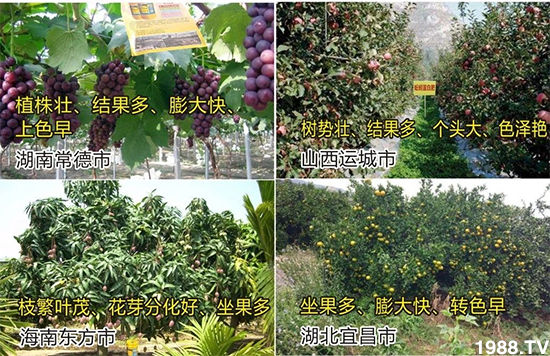 ˮ�ܷ��Ј���׃��������徫���~���׌��������棡1000���Ñ��������]��