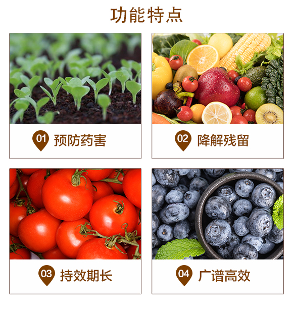 ���ݱ��o��-���ͪ-������_03