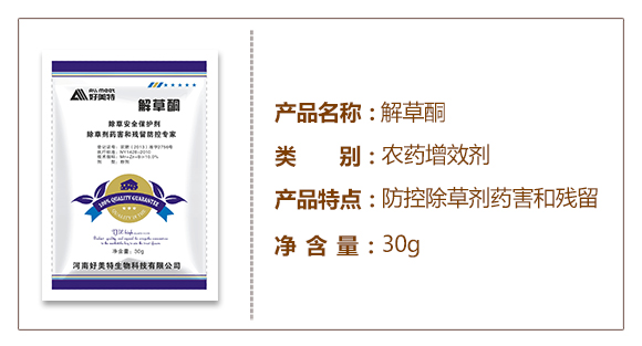 ���ݱ��o��-���ͪ-������_02