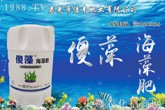 �Ј��𲽻ؚw�������������󶹃r(ji��)��_�߻��䣡