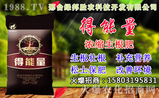 2020��С���N������x���߮a(ch��n)С��Ʒ�N����Щ��