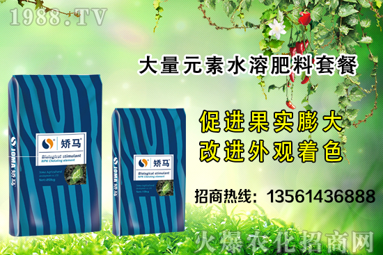 �＾����ʩ�ʵĺ�̎����Щ���＾����ʩ��ָ��(d��o)������