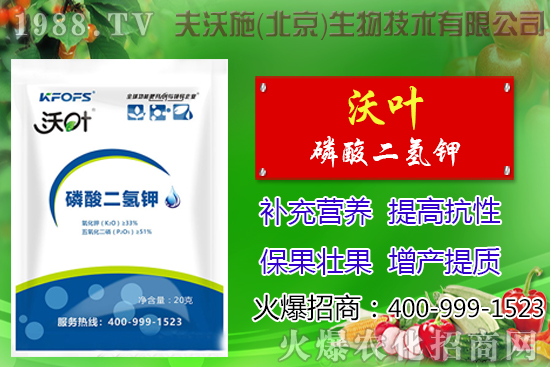 ���t��ժ�~����Щ��̎������ժ�~���g(sh��)��ע�����(xi��ng)��