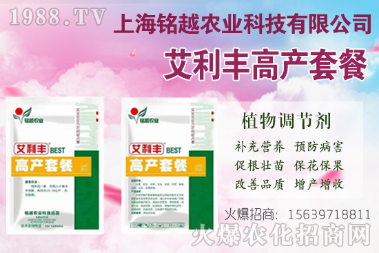 棉花吐絮是什么季節(jié)？常出現(xiàn)問題有哪些？棉花吐絮期管理要點！