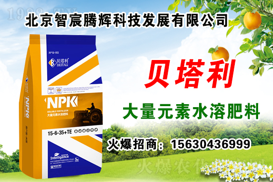 2020��Nʲôˎ����ٍ�X���Nֲˎ�����a(b��)�N�᣿��Щˎ���зNֲǰ����