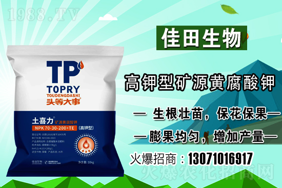 雪梨該怎樣種植？雪梨的種植時(shí)間和方法！