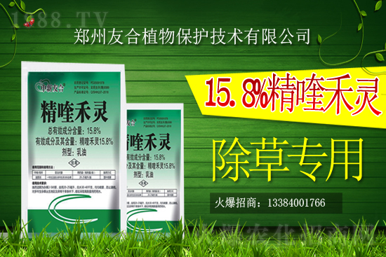 2021��2��15�ո��ٳ��݄��r������