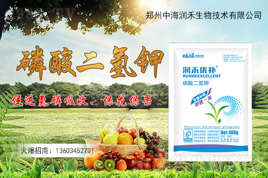 ����һ���굽��ԓ��ôʩ�ʣ�����ʩ��ע�����(xi��ng)����Щ��