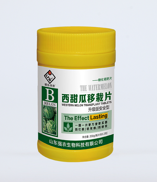 ���������Ƭ1