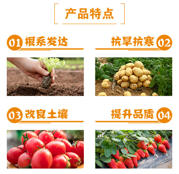 �S�����-ؐ���S_03