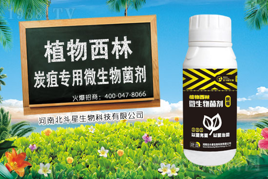 ������ԭˎ�r���߄�2021��1��26��