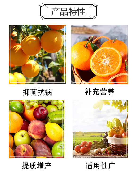 ����ľù���ݲ�ѿ�ߗU��-��������-����S_03