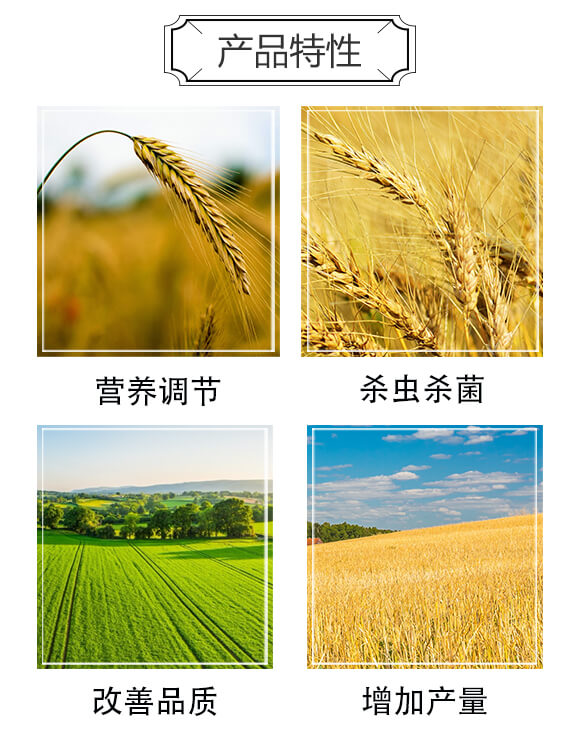 С����(zhu��n)������߮a(ch��n)��Q����-�|����-���䌍(sh��)�I(y��)_03