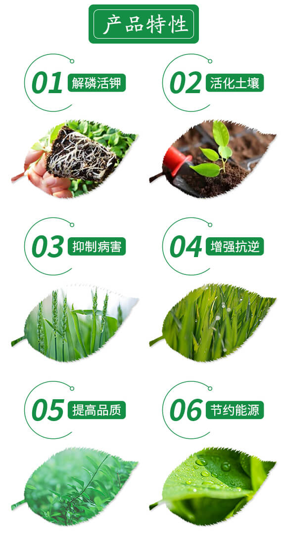 生物炭基復(fù)合肥17-17-17-宏興-倍富特農(nóng)化_03