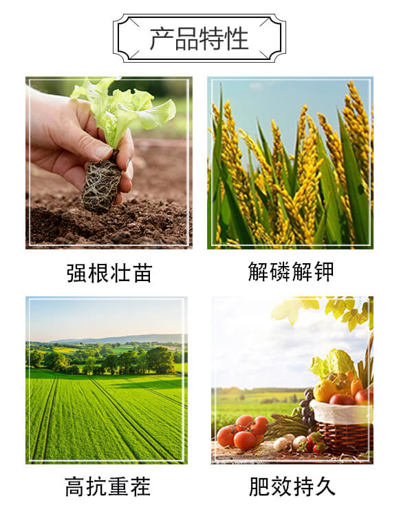 �ЙC����-���S��_02