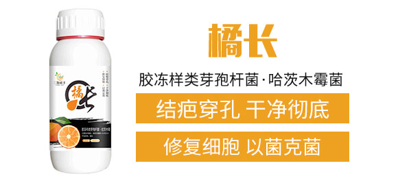 �z�����ѿ�ߗU��������ľù��-���L(zh��ng)-���w����_02