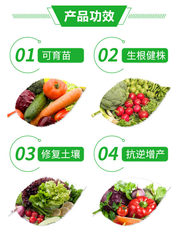 ΢�������-�S¡����������ֳ���ͣ�-�|�S¡_03