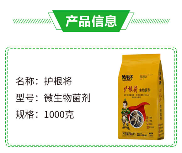 ΢�������-�o(h��)����-��ڌ�-�{(l��n)���r(n��ng)��_02