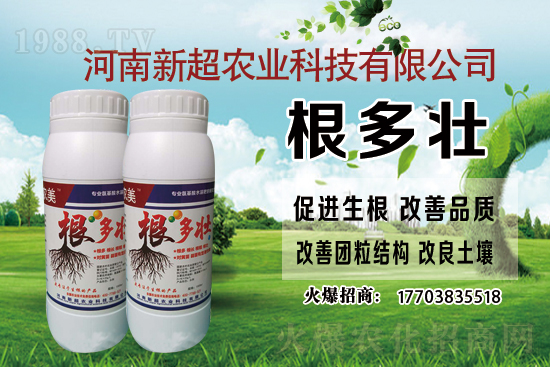 �r(n��ng)�ｨ�O(sh��)�a(b��)���Y��