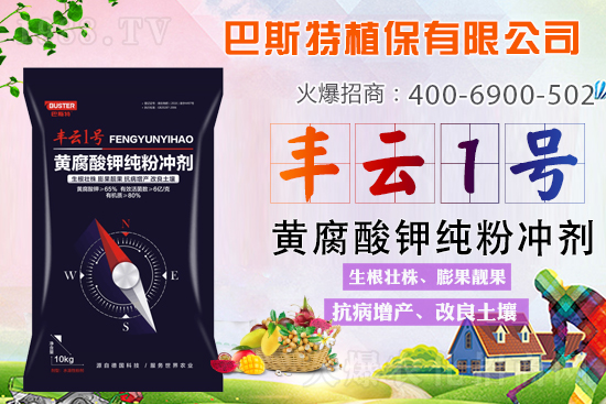 ������Y(ji��)/�}�n��/�ữ�y��Q�������S����⛼��ۄ���