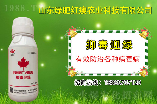 ���β�������Ҳ���ðΣ����ֶ�ӭ�G�����β�������