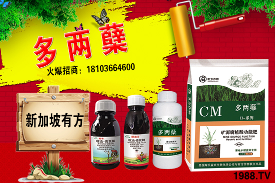 2021�����ַNֲǰ������������ֺ���ͨ�����к΅^(q��)�e��