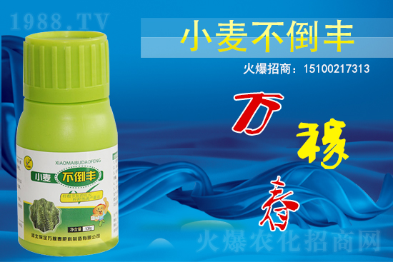 С��������ô����߀������С�������S!