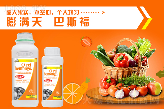 一銨行情暫穩(wěn)，10月13日國(guó)內(nèi)磷銨價(jià)格行情