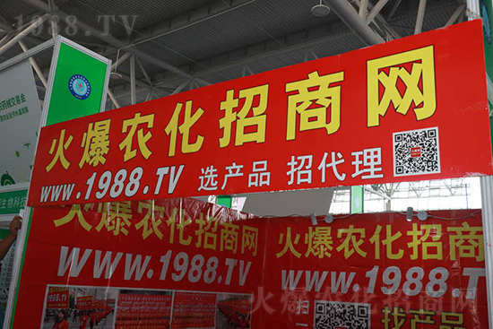 ��s������2021ɽ�|ֲ����(hu��)���𱬾W(w��ng)��������ʢ�e��