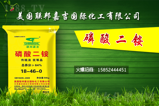 ���@�r(ji��)���ů��11��1�����@�r(ji��)������