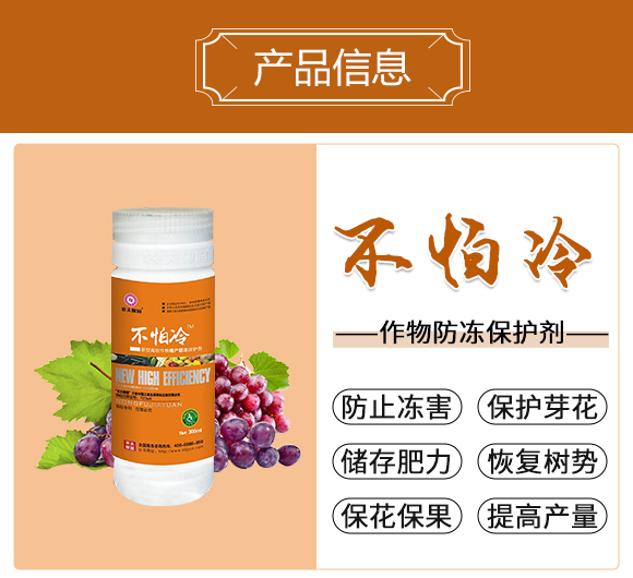 ������-�r(n��ng)��ڈ@_02