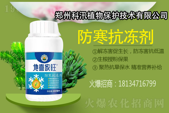 抗凍