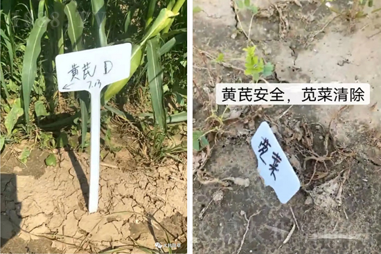 �α�2̖(h��o)¡�����У�����������ɳ��{�˵��S�γ��݄������ݸ��V����ȫ����