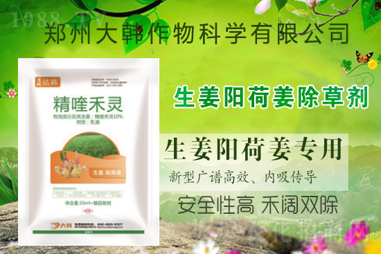 ��ꖺɽ���ô���ݣ����ش�ʲô���݄�����ꖺɽ����ݷ�����ע�����