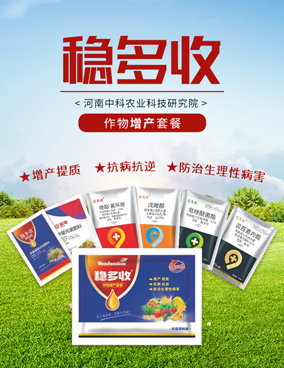 河南中科農(nóng)業(yè)科技研究院3_01