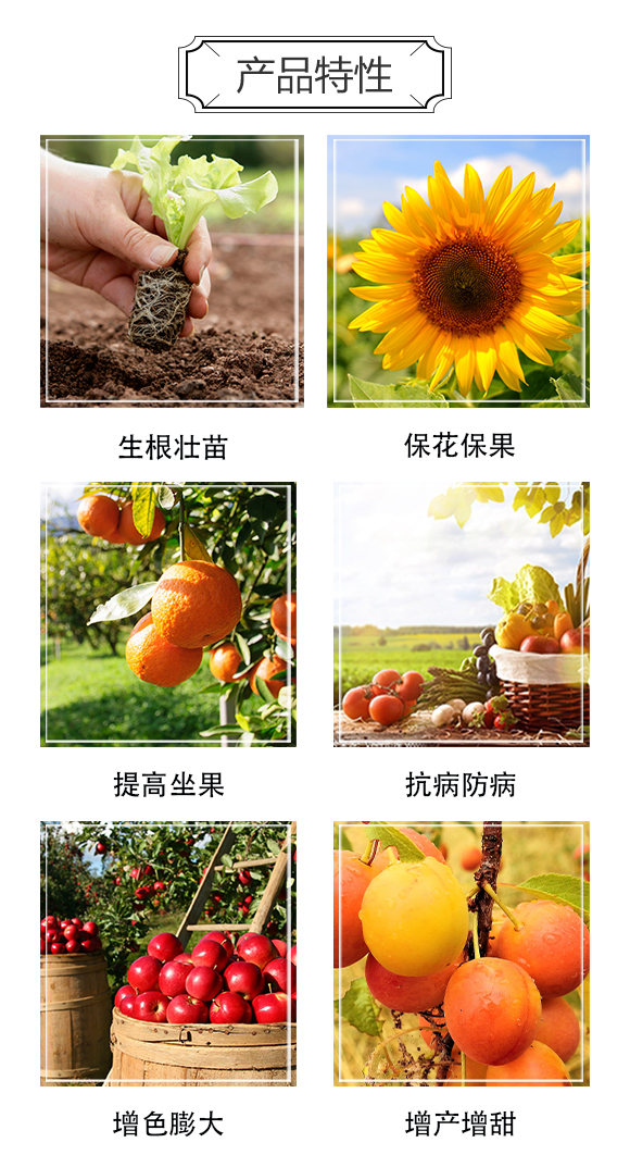 河南中科農業(yè)科技研究院2_03