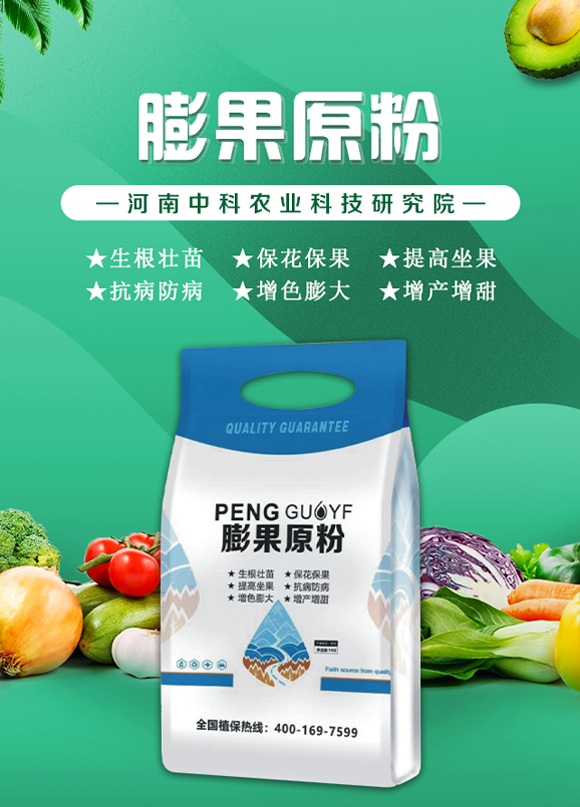 河南中科農業(yè)科技研究院2_01