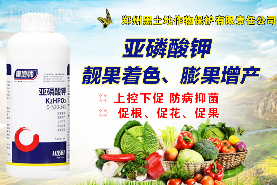 2021��12��31������һ�@�r(ji��)����?q��ng)?b��o)