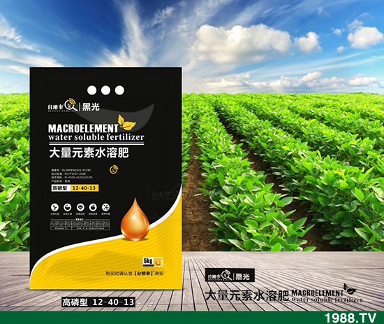 ����(w��n)�\����2021.12.31����������@�r��