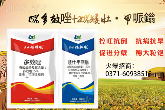 С���������ݲ��ɓ������I(y��)������Ч��������