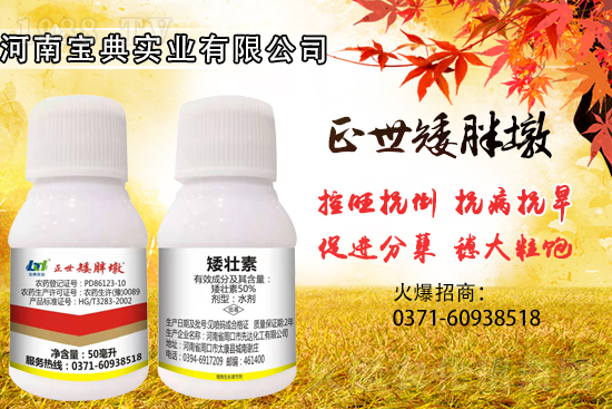 С���������ݲ��ɓ������I(y��)������Ч��������