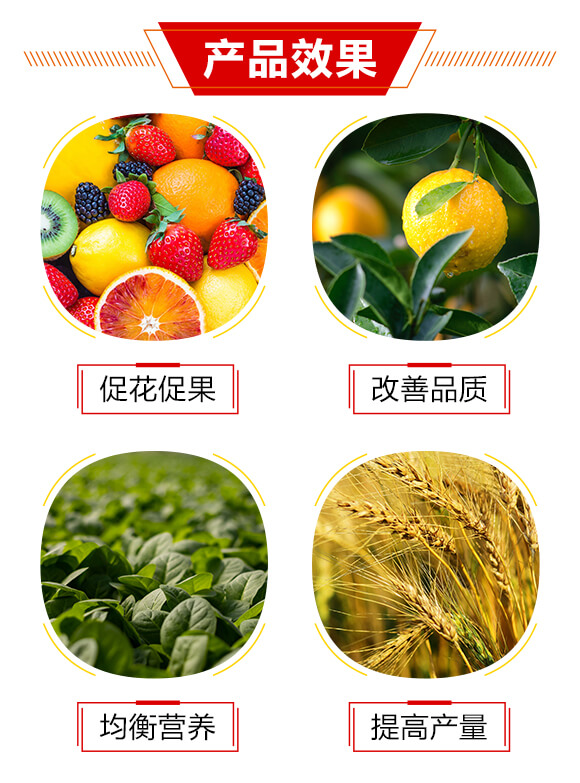 �����B(y��ng)����΢�����������ʩ�_ʩ��-�|����-�|��̼_03