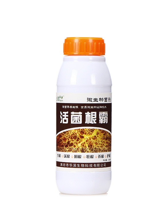 1000ml�������1