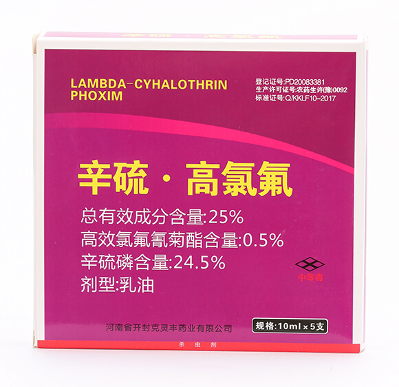 25%���򡤸��ȷ�-���ְ���7