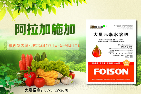 2��6��ȫ��С����r��С���r��ͻ��1.57Ԫ/��