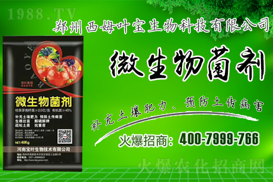 �����m��¶��������߲�Ʒ�N����Щ������Щ�Nֲע�����(xi��ng)��