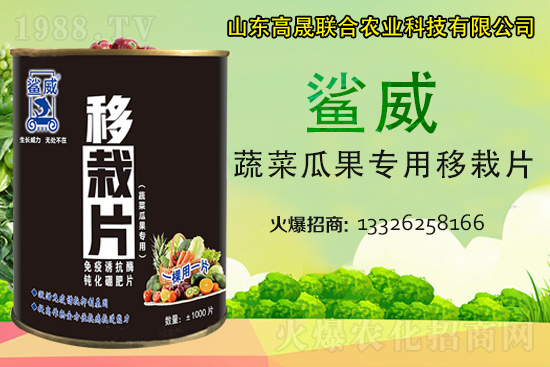 �����������������L������...���߲˶�ֲ�ؿ�